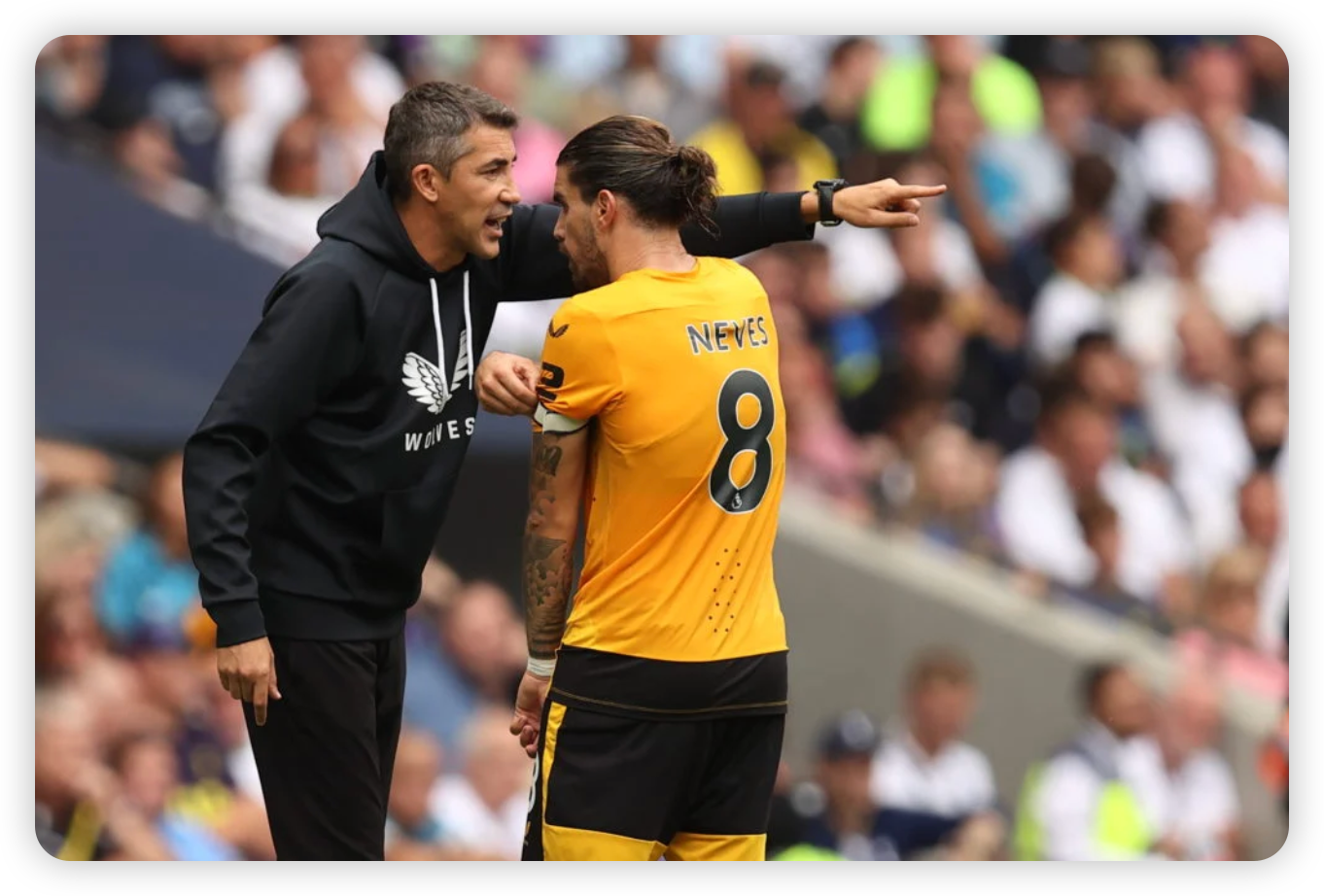 Ruben Neves: The Heart of Wolves' Midfield
